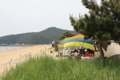 “30,000㎡ 캠핑장, 해수욕장과 만났대요!”… 자연 속 힐링 여행지 해씨유