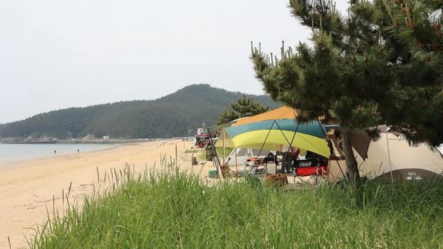 “30,000㎡ 캠핑장, 해수욕장과 만났대요!”… 자연 속 힐링 여행지 해씨유