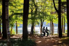 입장료 19,000원 내고 이 정도 풍경이면 남는 장사죠