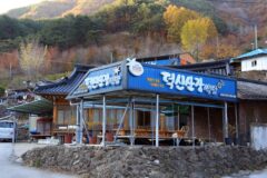 전북 덕신산장민박식당 맛집, 산채 백반 정식의 진수
