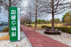 한밭수목원 체험 활동 TOP 5, 대전 여행 필수 코스