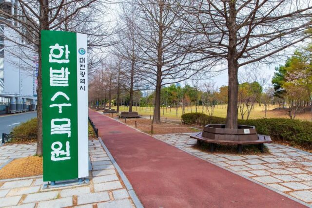 한밭수목원 체험 활동 TOP 5, 대전 여행 필수 코스