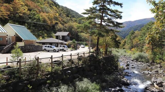 “진짜 자연 속 캠핑이라니?”… 여름철 필수 방문지 두타산자연휴양림