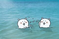 중국인, 대만인, 일본인들이 관광지로서 부산을 좋아하는 이유?