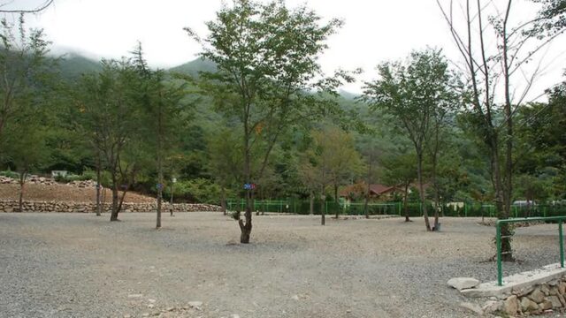 “경주에 이런 5만 평 캠핑장이?”… 울창 송림 속 자연 그대로의 휴양지