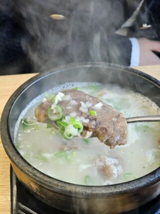 김포 곰탕맛집 진한 국물의 성가옥 진주냉면