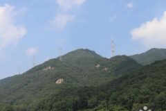 충북 보련산 체험, 사계절 자연 경관의 즐거움
