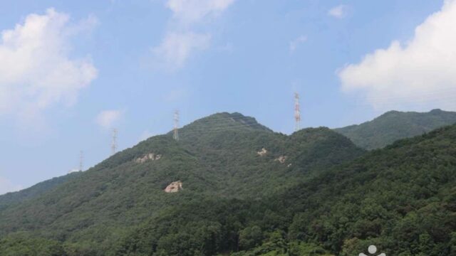 충북 보련산 체험, 사계절 자연 경관의 즐거움