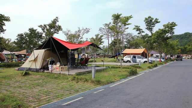 “와! 20,000㎡ 숲속에 인삼향이 가득하다니?”… 금산의 진짜 힐링 명소