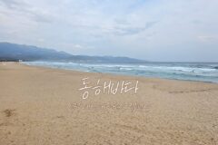 동해바다 영덕 대진해수욕장 캠핑장