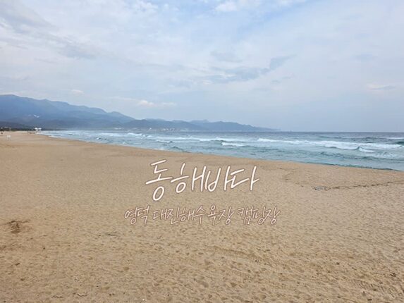 동해바다 영덕 대진해수욕장 캠핑장