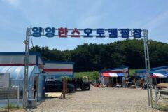 “60,000㎡ 규모라니, 진짜 대단해요”… 설악해변 맞은편의 힐링 캠핑 명소