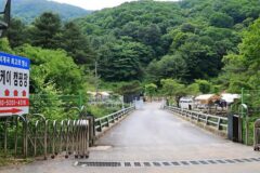 “60개 사이트에 2만 평이라니, 진짜 넓어요”… 자연 속 프라이빗 캠핑 명소
