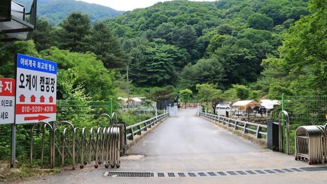 “60개 사이트에 2만 평이라니, 진짜 넓어요”… 자연 속 프라이빗 캠핑 명소