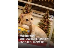 강남놀거리 크리스마스 마켓 현대백화점 오픈 일정