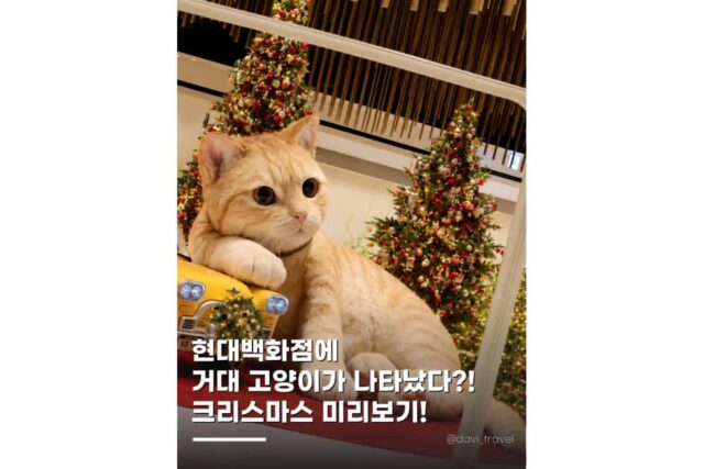 강남놀거리 크리스마스 마켓 현대백화점 오픈 일정