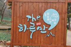 “푸른 초원이 10만 평이라니?”… 자연 속 충북 괴산 힐링 명소