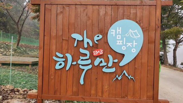 “푸른 초원이 10만 평이라니?”… 자연 속 충북 괴산 힐링 명소