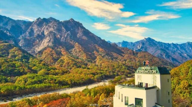 “온라인 예약 불가” 왕복 15,000원 뽕뽑는 가을 설악산 케이블카