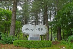 전북 내장산수목원 숙소, 자연 속 평화로운 휴식 제공