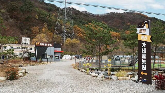“10만㎡ 자연 속에서 이렇게 힐링할 줄이야”… 붉게 물든 가을 명소