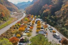 “해발 500m에서 별을 본다니…”… 10,000평 자연 속 힐링 명소