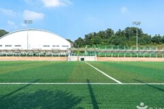 경기 이충레포츠공원 체험, 평택에서 스포츠와 여유를 동시에