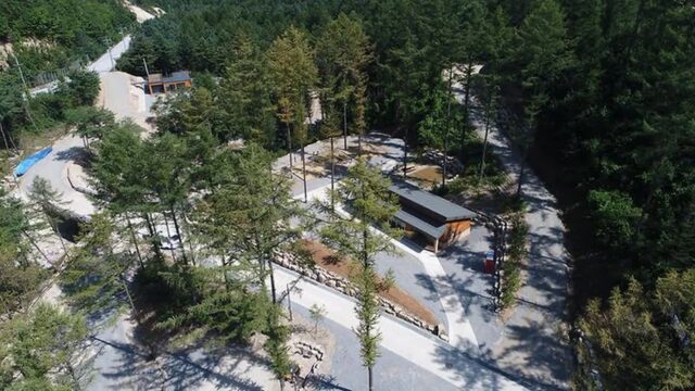 “50,000㎡ 청정 자연 그대로라니!”… 산림청 1호 힐링 명소
