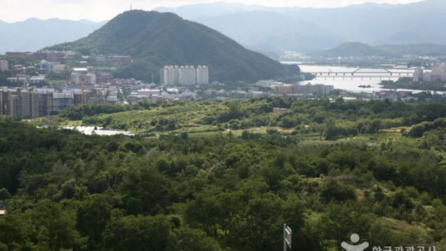 강원 구봉산 가볼만한곳, 자연 속 힐링 여행지