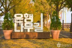 아산 은행나무길 거리예술제 가을 나들이, 무료 주차하고 곡교천 산책