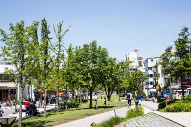 연남동 갈만한곳 BEST 5, 가을 감성 가득한 도심 산책