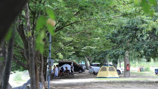 “50여 개 캠핑 사이트가 다니!”… 자연 속 여유로운 힐링 여행지