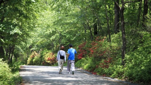 서울 망우 역사문화공원, 가을 여행에 꼭 가볼만한곳