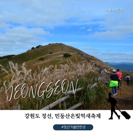 정선 가볼만한 곳 민둥산 억새 산행 후기, 안개 속 은빛 물결과 제31회 민둥산은빛억새축제