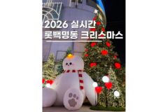 서울 크리스마스 명소 롯데백화점 명동 놀거리 포토존 정리