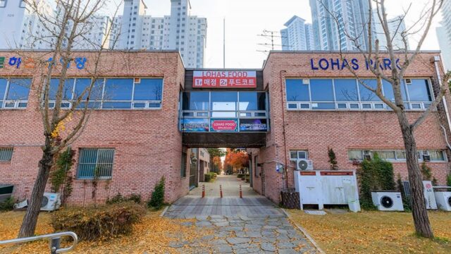 대전 금강로하스산호빛공원 카페, 자연 속 힐링 공간