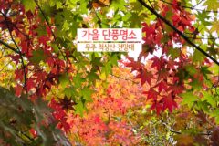가을 단풍 명소 무주 적상산 전망대 비 오는 날 여행