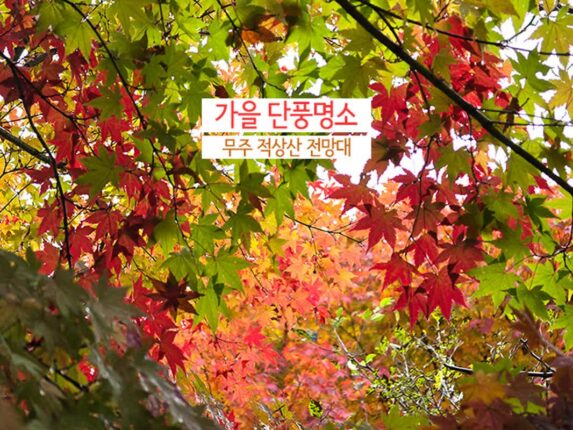 가을 단풍 명소 무주 적상산 전망대 비 오는 날 여행